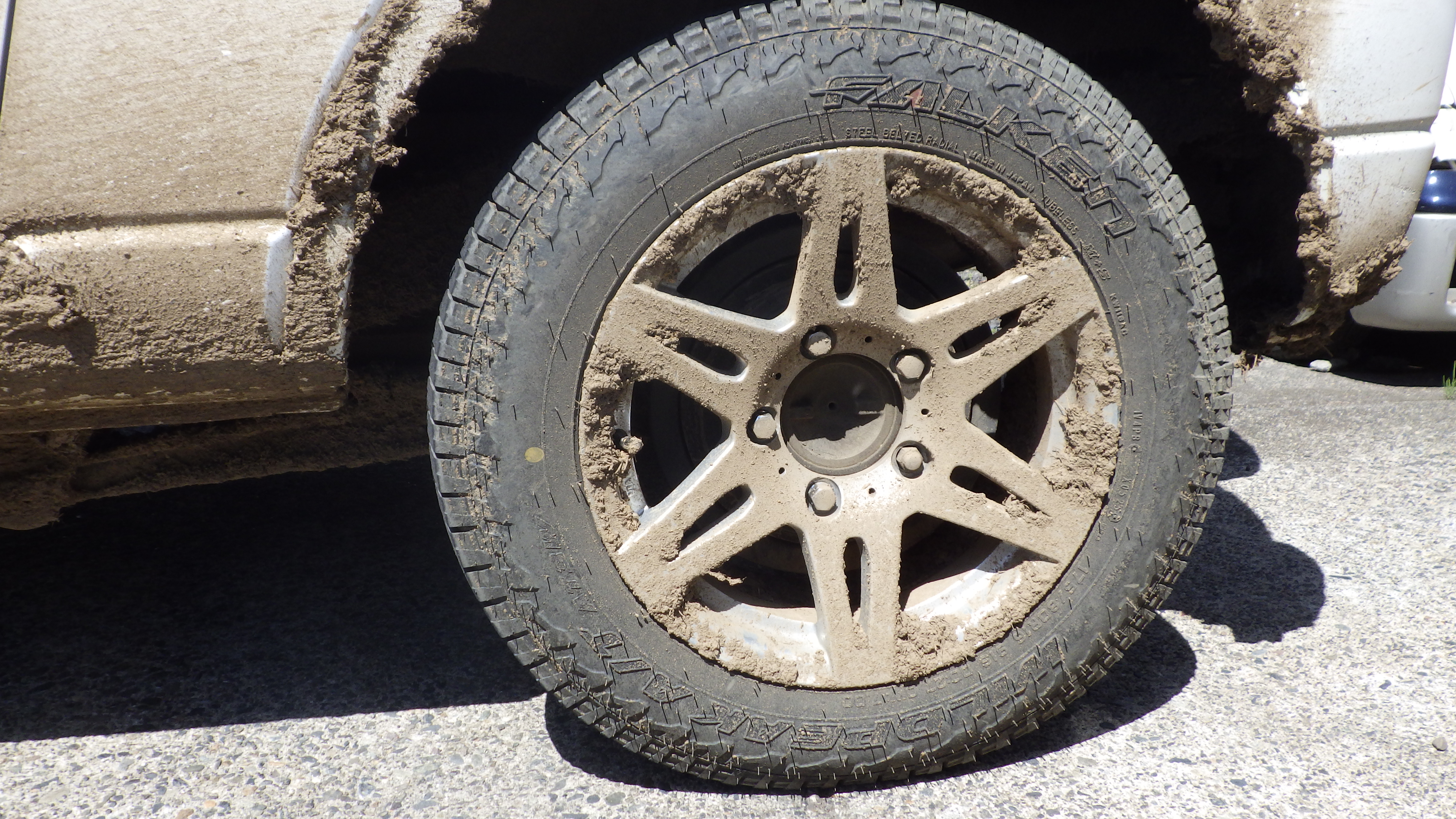 車でやりたいことを我慢していませんか？
