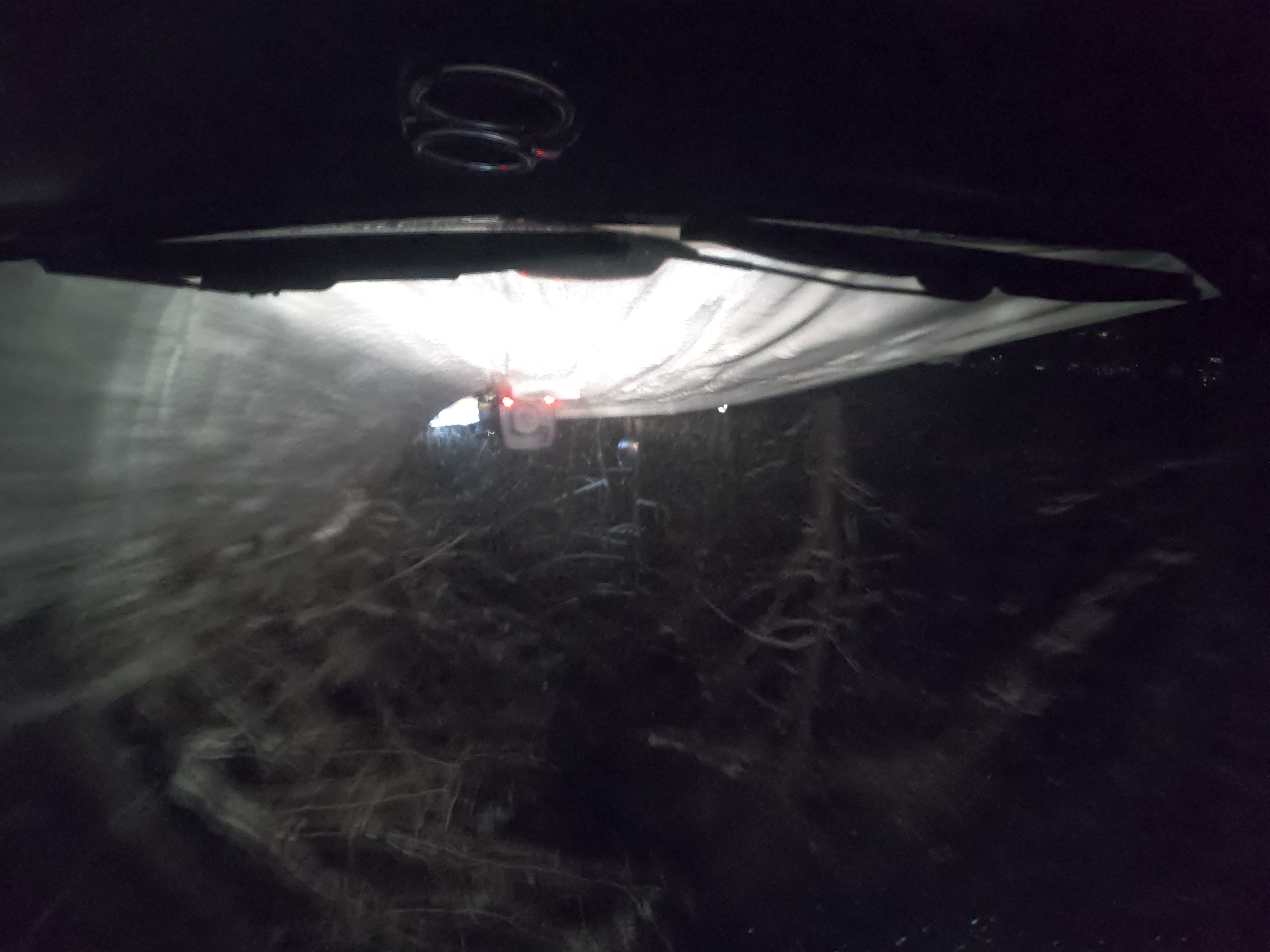 車でやりたいことを我慢していませんか？