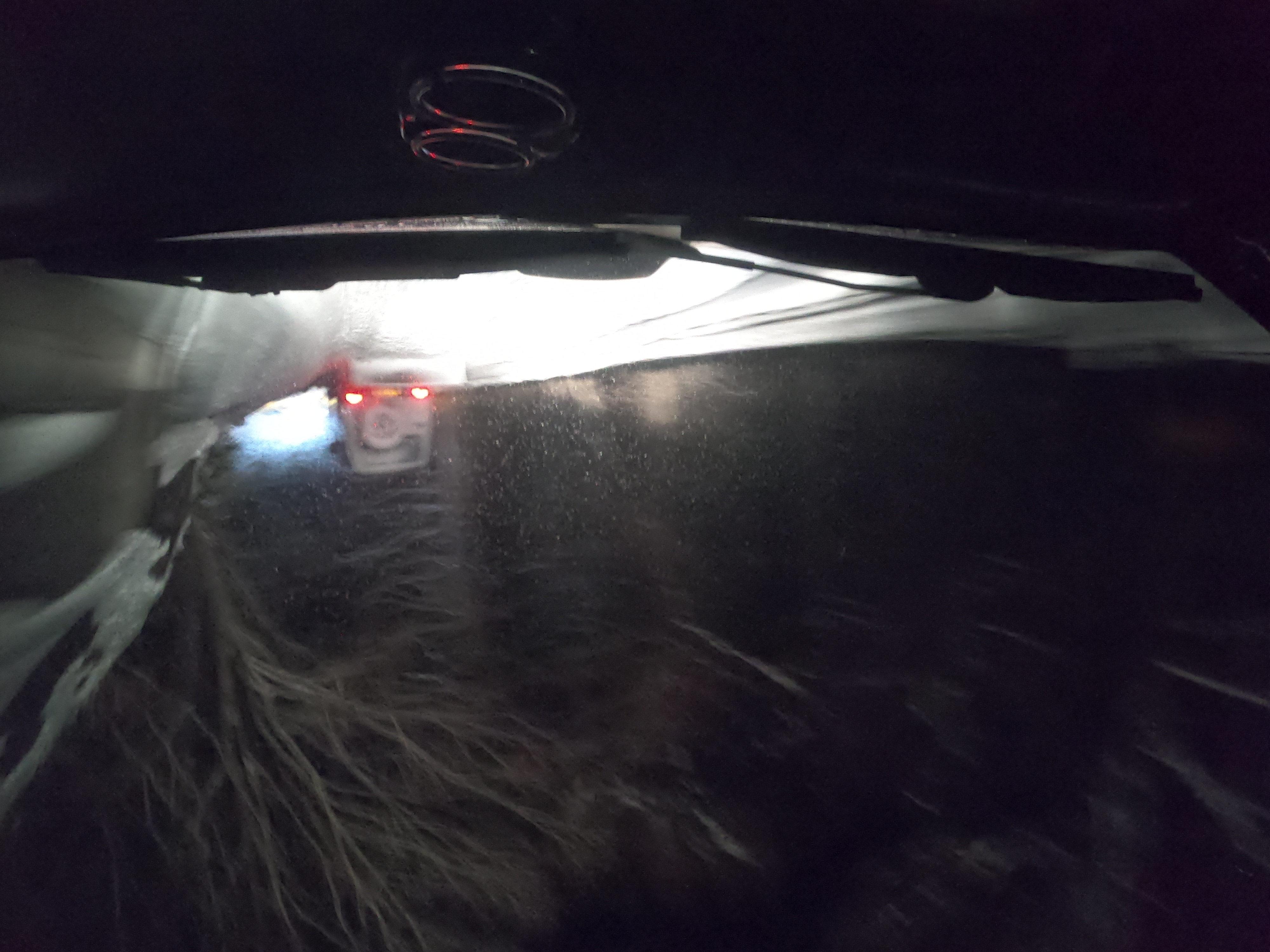 車でやりたいことを我慢していませんか？